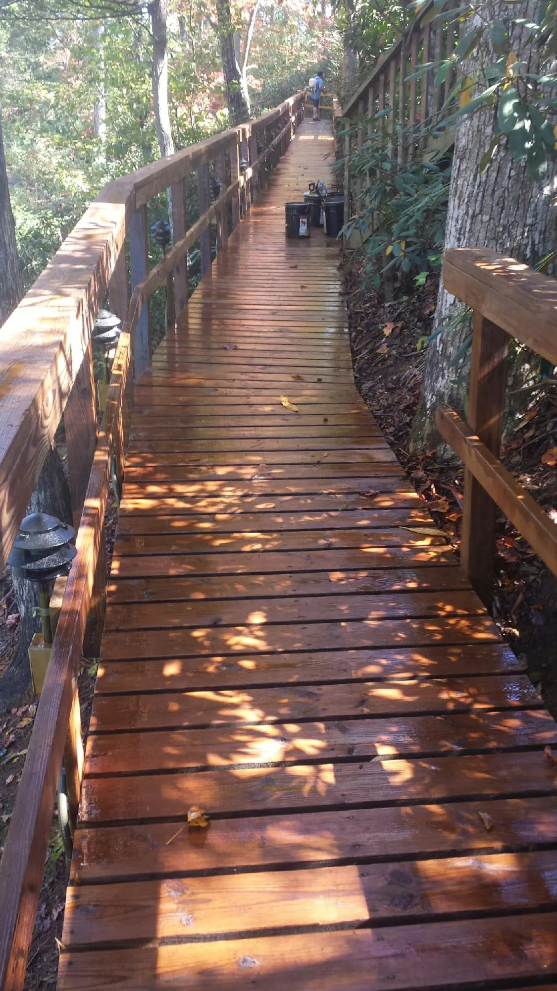 Freshly stained wood walkway winding through the woods in Jonesville